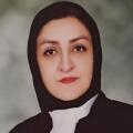 میترا میراحمدی